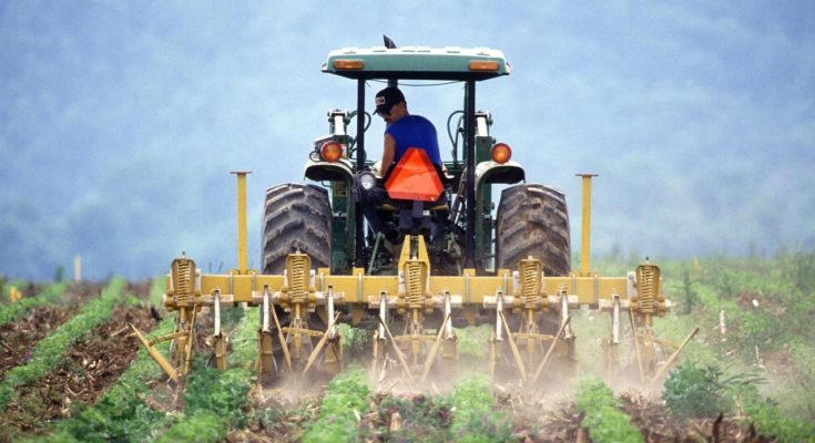 Farmers