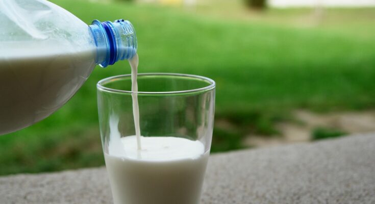 Milk