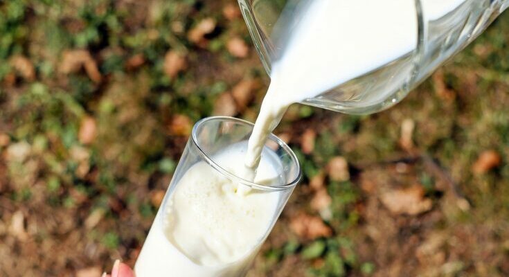 Milk