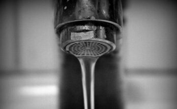 Drinking water
