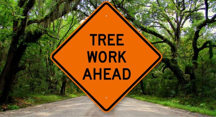 Tree Trimming Operation - Traffic