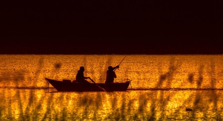 Fishing