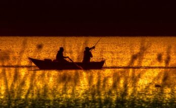 Fishing