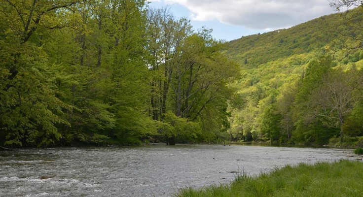 DCNR