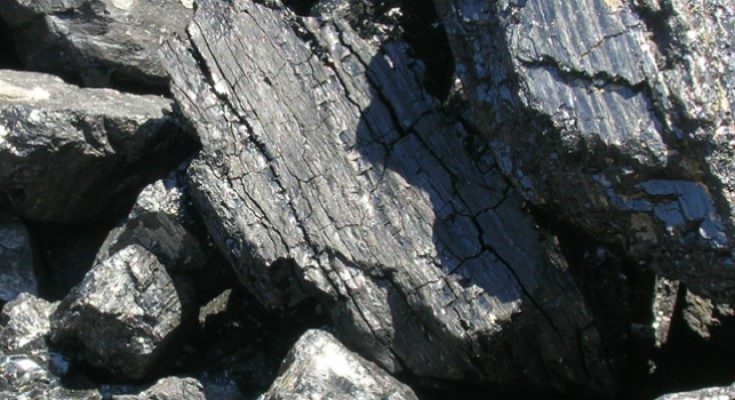 Coal