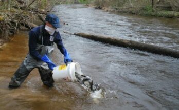 Trout Stocking