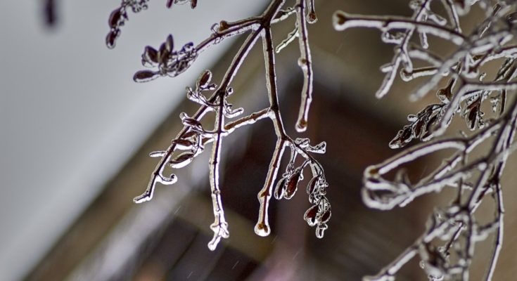 Freezing Rain