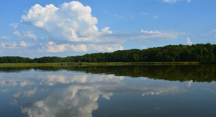 Chesapeake Bay
