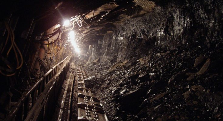 Coal