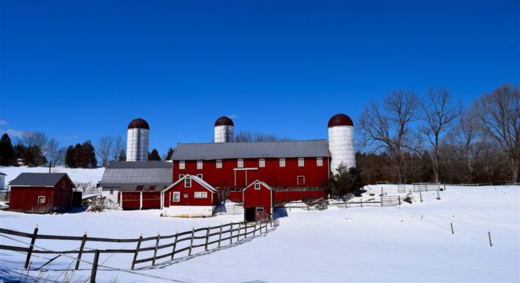 Snow farm
