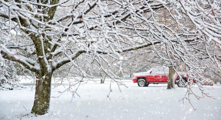 snow