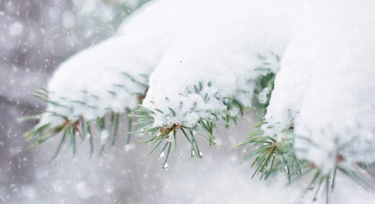 snow