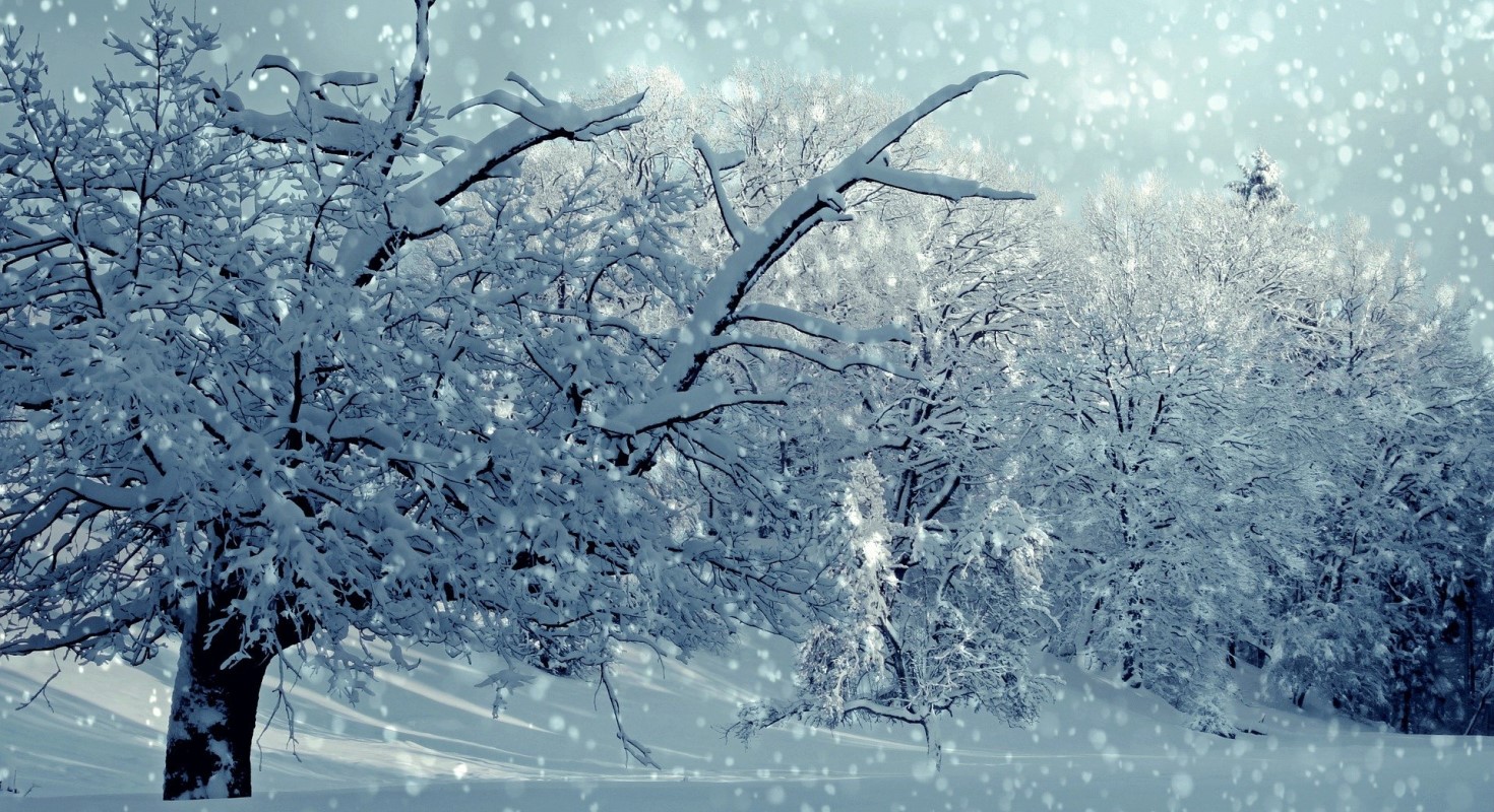 Winter