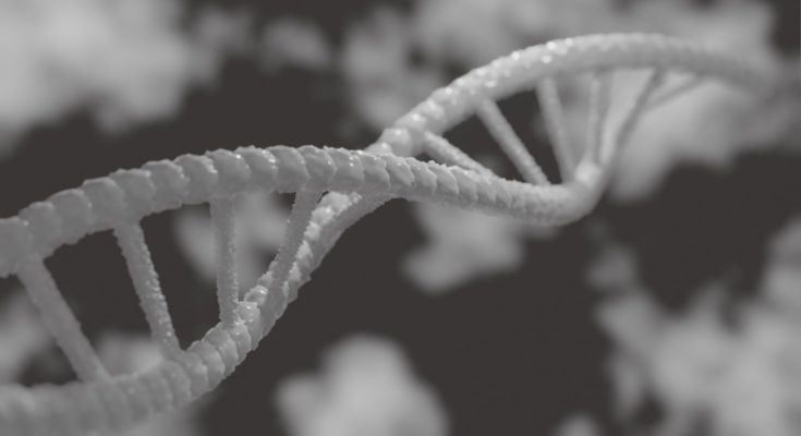 Gene