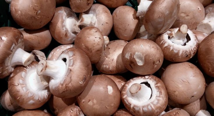 Mushrooms
