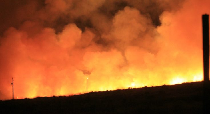 Wildfire
