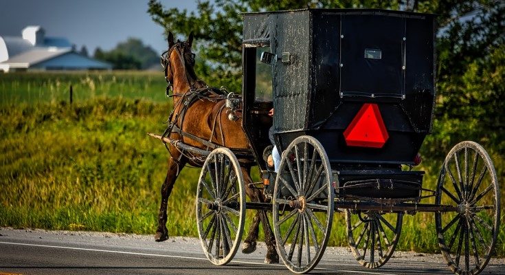 horse and buggy