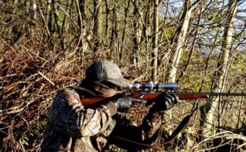 hunting