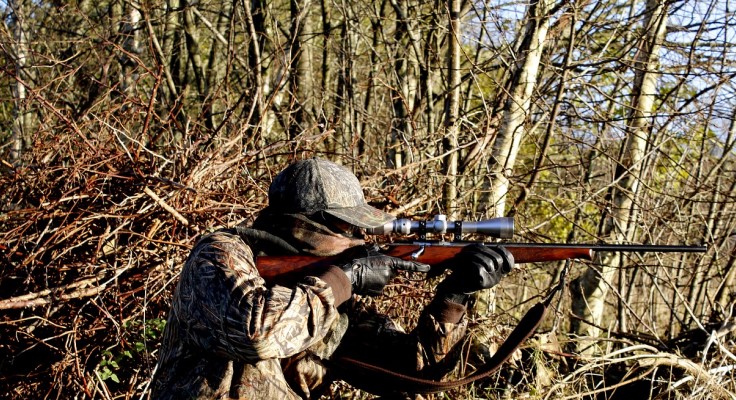 hunting