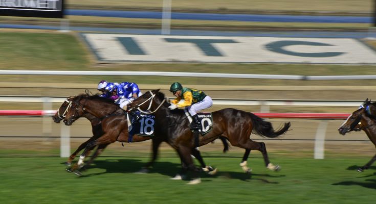 horseracing