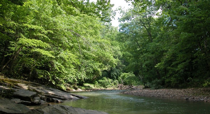 White Clay Creek Preserve