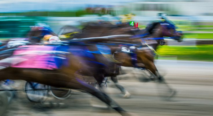 Horseracing