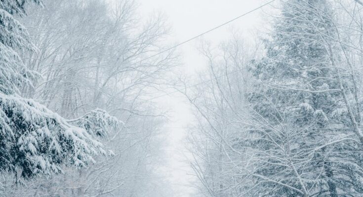 Winter road