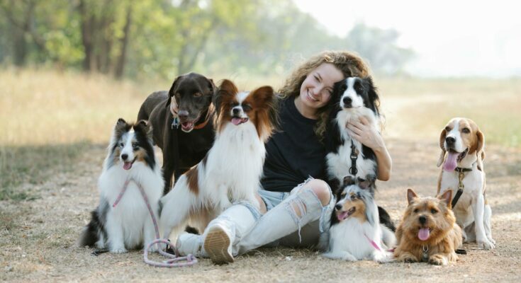 Dogs