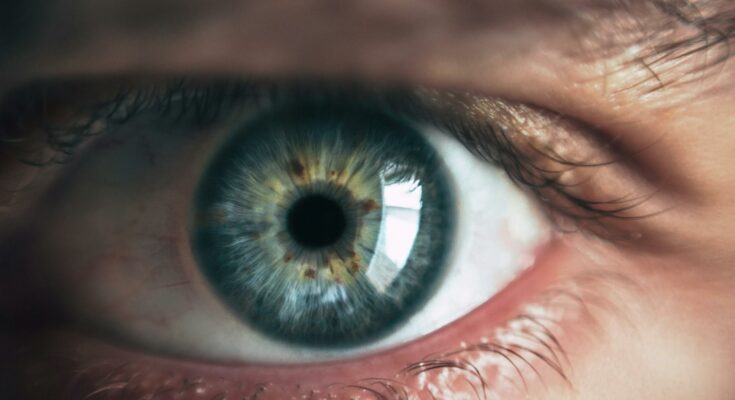 Person eye