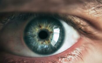 Person eye