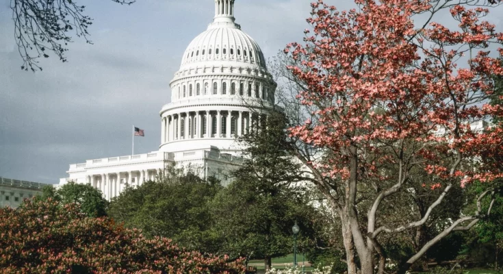 Capitol Hill, Washington D.C.