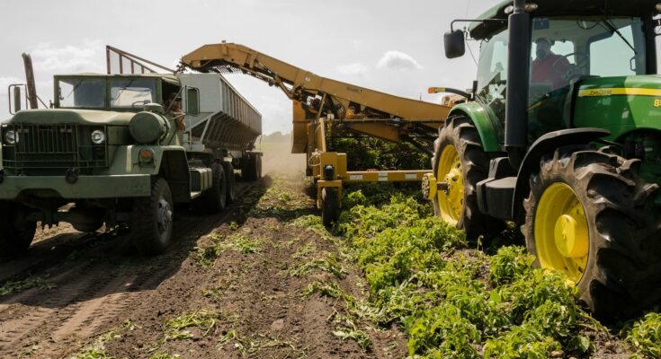 Agriculture