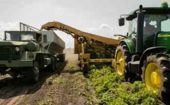 Agriculture