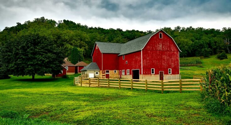 Barn