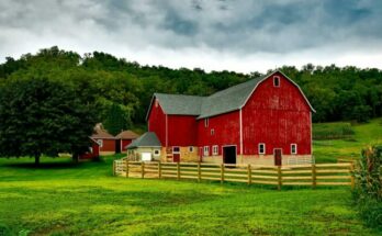 Barn