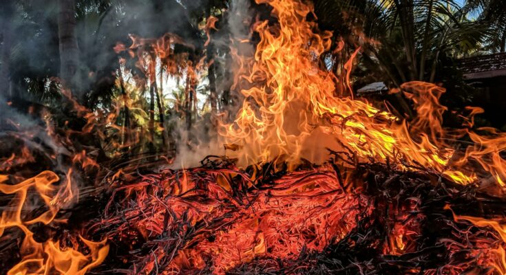 Wildfire