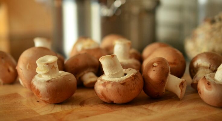 Mushrooms