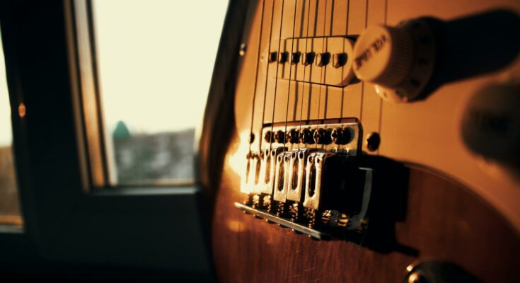Guitar