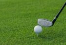 Golf club beside a golf ball