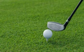 Golf club beside a golf ball