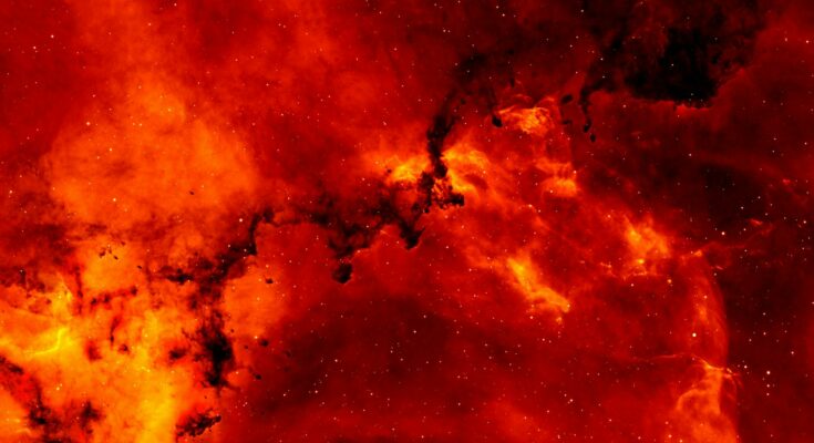 Wildfire
