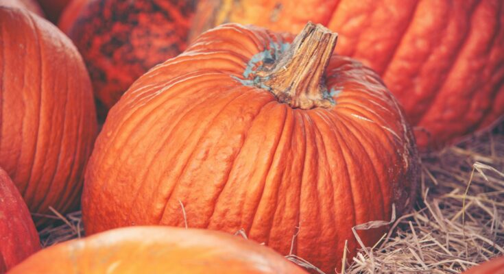 Pumpkins