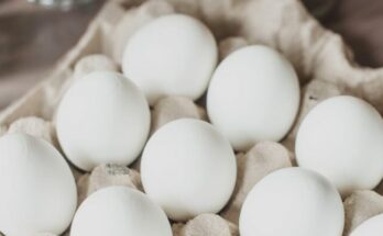 Eggs