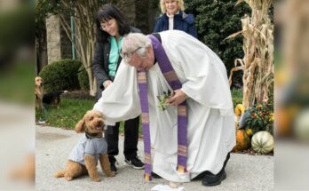 Blessing Of The Animals