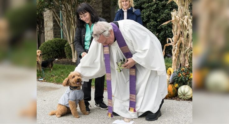Blessing Of The Animals
