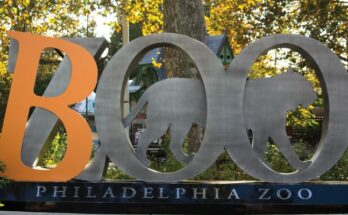 Boo At The Zoo