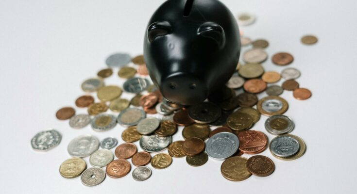 Piggy bank
