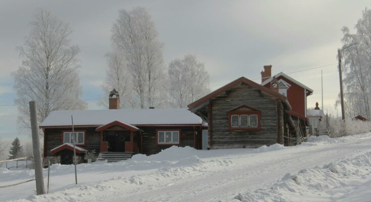 Winter cold