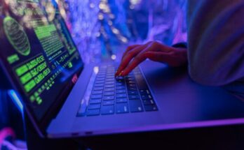 Person using laptop computer
