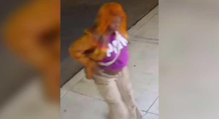 Attempted Burglary
